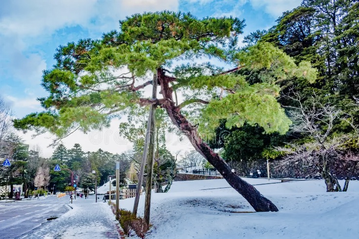 Pastoral supervision session with care professional