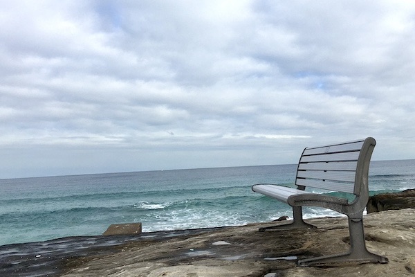 bench overlooking ocean at manly—quiet space for reflection